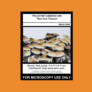 Limited Release- Ban Hua Thanon Spore Syringe