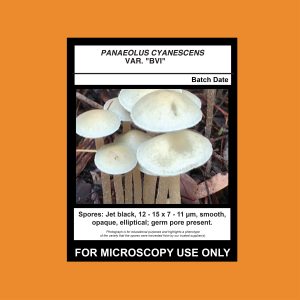 December “Exotic Gift”- Limited Release 3 Syringe Pack