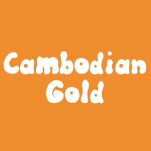 Cambodian Gold Spore Syringe