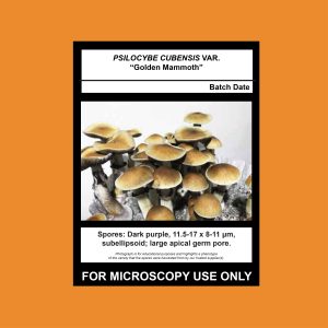 Golden Mammoth Spore Syringe