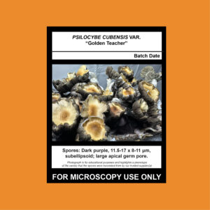 Golden Teacher Spore Syringe