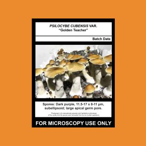 Golden Teacher Spore Syringe