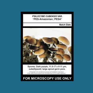 PES-Amazonian; PESA Spore Swab