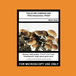 Limited Release- PES-Amazonian; PESA Spore Syringe