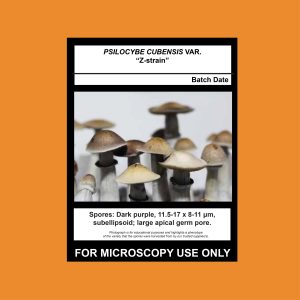 Isolate Clone LC- Limited Release, Premium Syringe