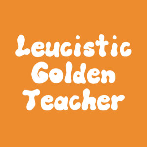 Leucistic Golden Teacher; LGT Spore Syringe