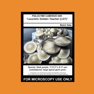 Leucistic Golden Teacher; LGT Spore Syringe