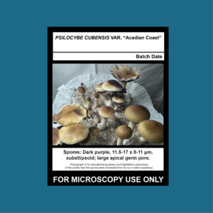 Acadian Coast Spore Print