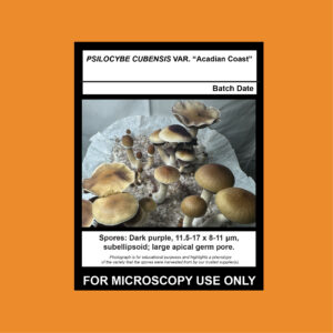 Isolate Clone LC- Limited Release, Premium Syringe 3X Pack