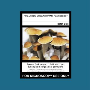 Cambodian Spore Swab