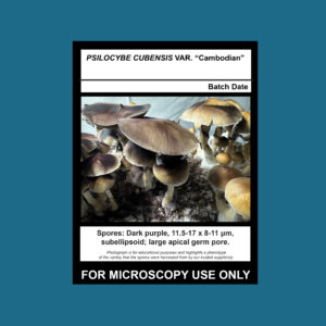 Cambodian Spore Swab