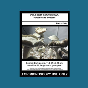 Great White Monster Spore Swab