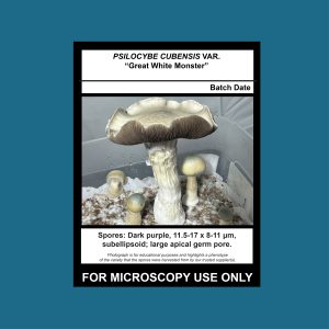 Great White Monster Spore Swab