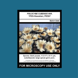 PES-Hawaiian; PESH Spore Swab