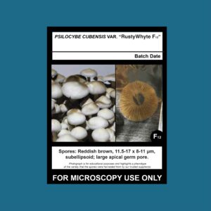 RustyWhyte F12 Spore Swab