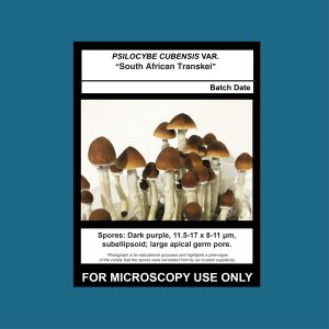 South African Transkei Spore Swab