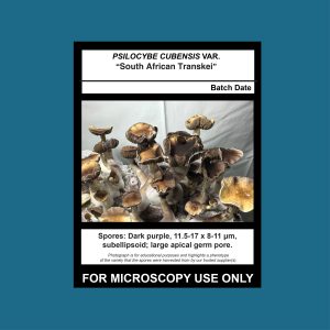 South African Transkei Spore Swab