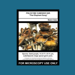 Thai Elephant Dung Spore Swab