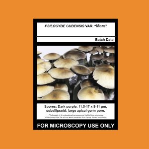 Isolate Clone LC- Limited Release, Premium Syringe