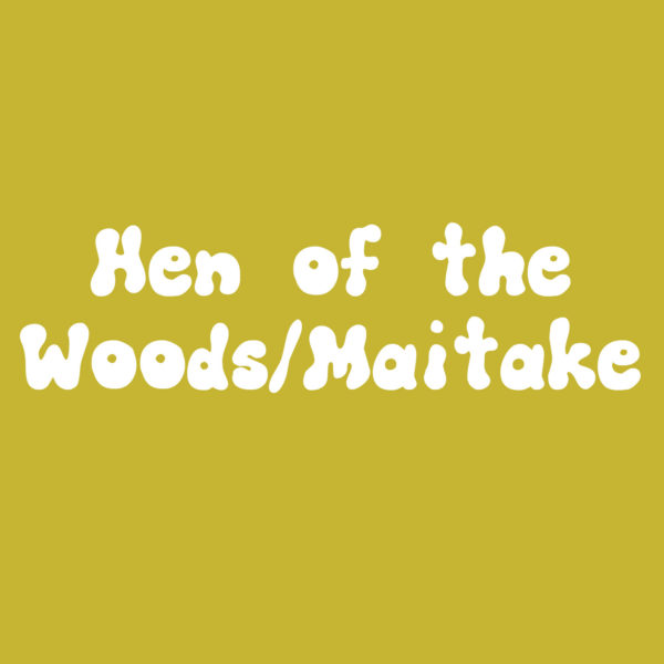 Hen of the Woods/HOTW/Maitake grifola frindosa