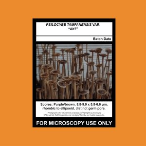 December “Exotic Gift”- Limited Release 3 Syringe Pack