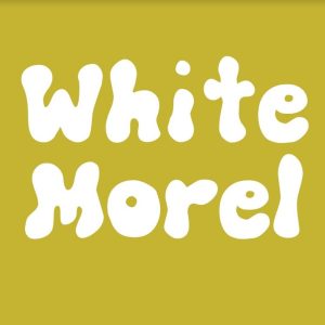 White Morel Liquid Culture (LC)