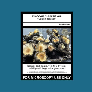 Golden Teacher Spore Print