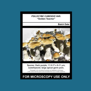 Golden Teacher Spore Print