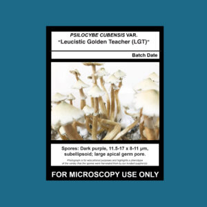 Leucistic Golden Teacher; LGT Spore Swab