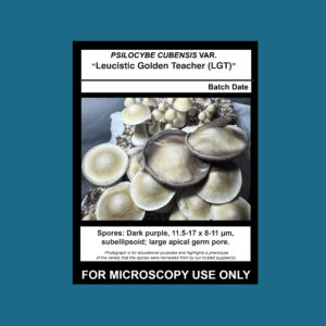 Leucistic Golden Teacher; LGT Spore Swab