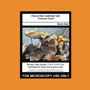 Treasure Coast Spore Syringe