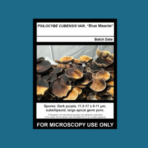 Blue Meanie Spore Print