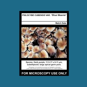 Blue Meanie Spore Print