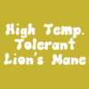 High temperature tolerant Lion's Mane culture