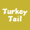 Turkey Tail culture. Medicinal. Trametes versicolor