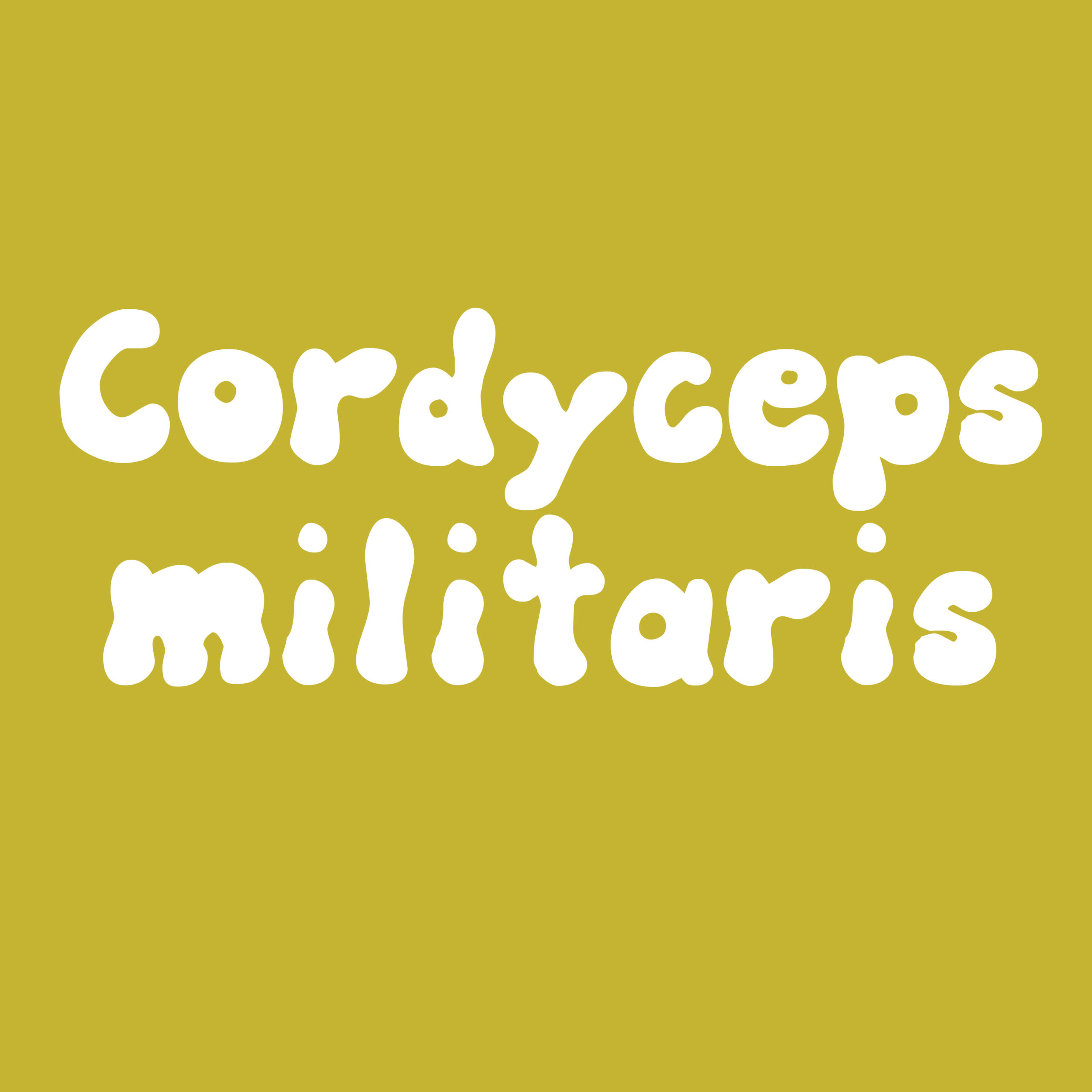 cordyceps militaris culture