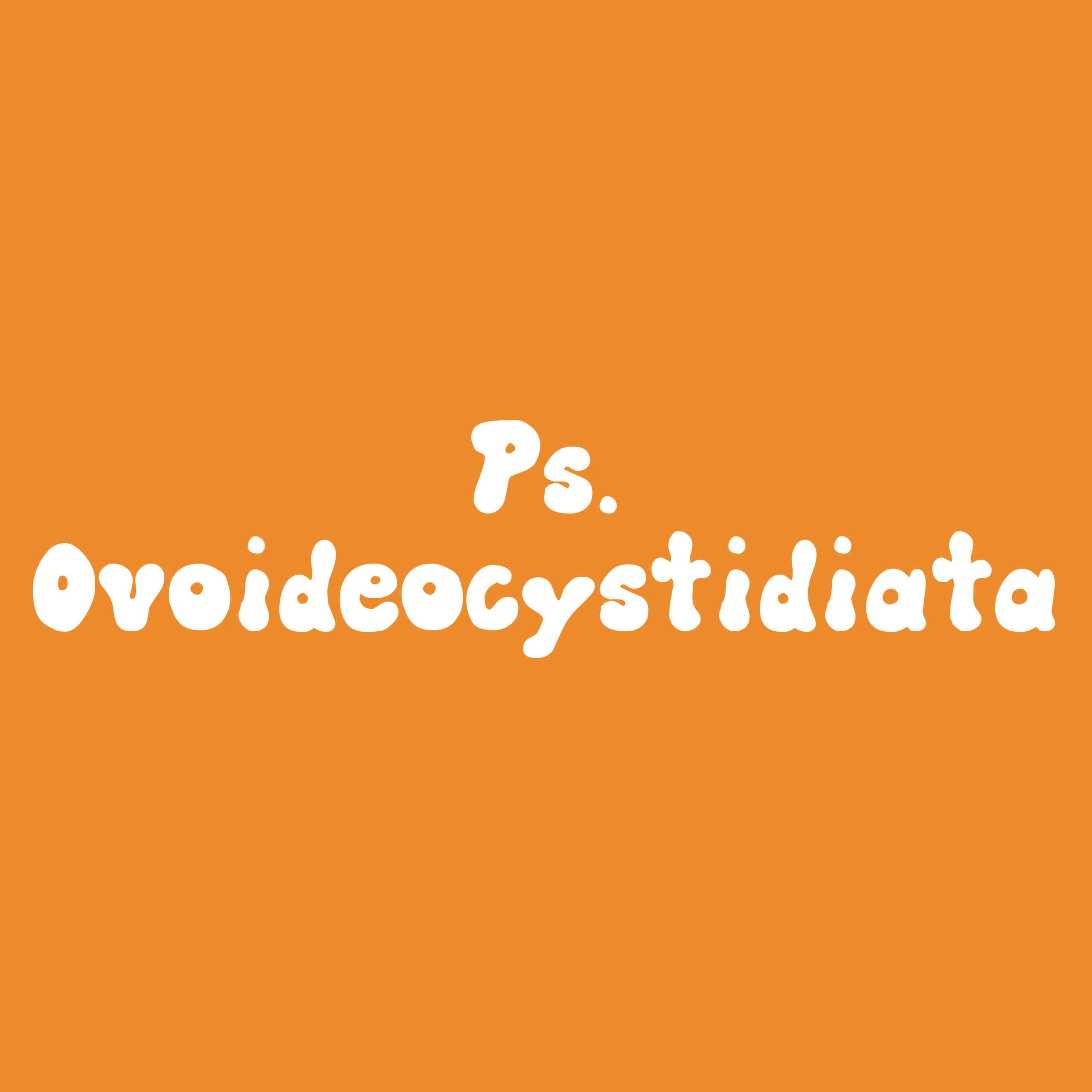 Psilocybe ovoideocystidiata spores- ovoids