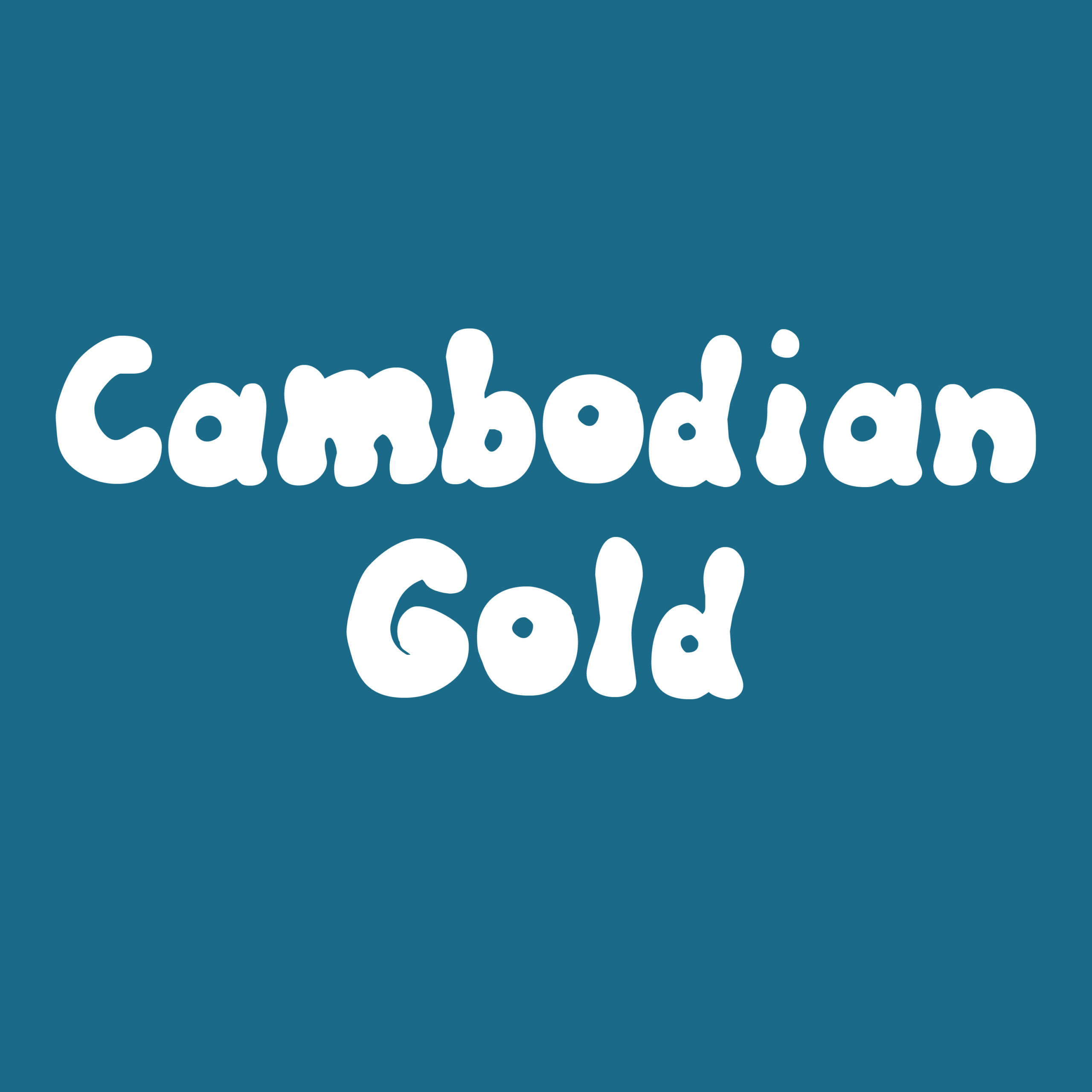 psilocybe cubensis var "cambodian Gold" spore swab or spore print