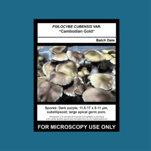 Cambodian Gold Spore Print