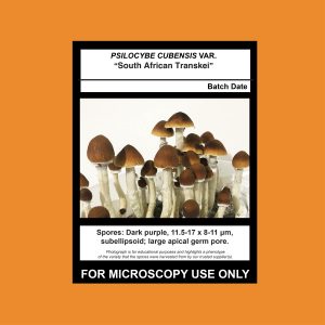 Limited Release- South African Transkei Spore Syringe