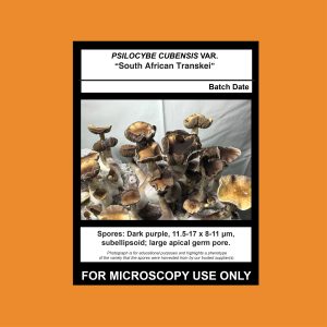Limited Release- South African Transkei Spore Syringe