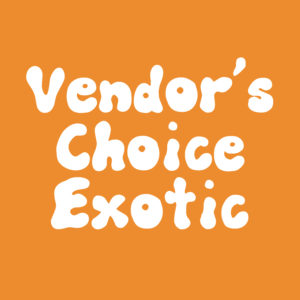 Vendor’s Choice Exotic Syringe