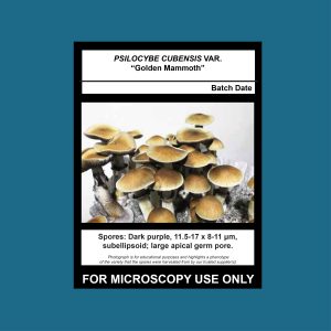 Golden Mammoth Spore Print