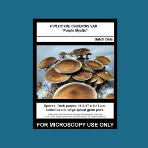 Purple Mystic Spore Print