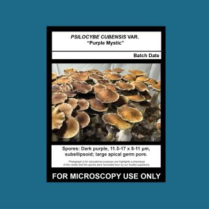 Purple Mystic Spore Print