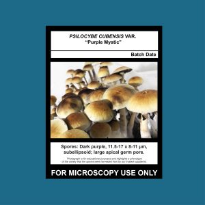 Purple Mystic Spore Print