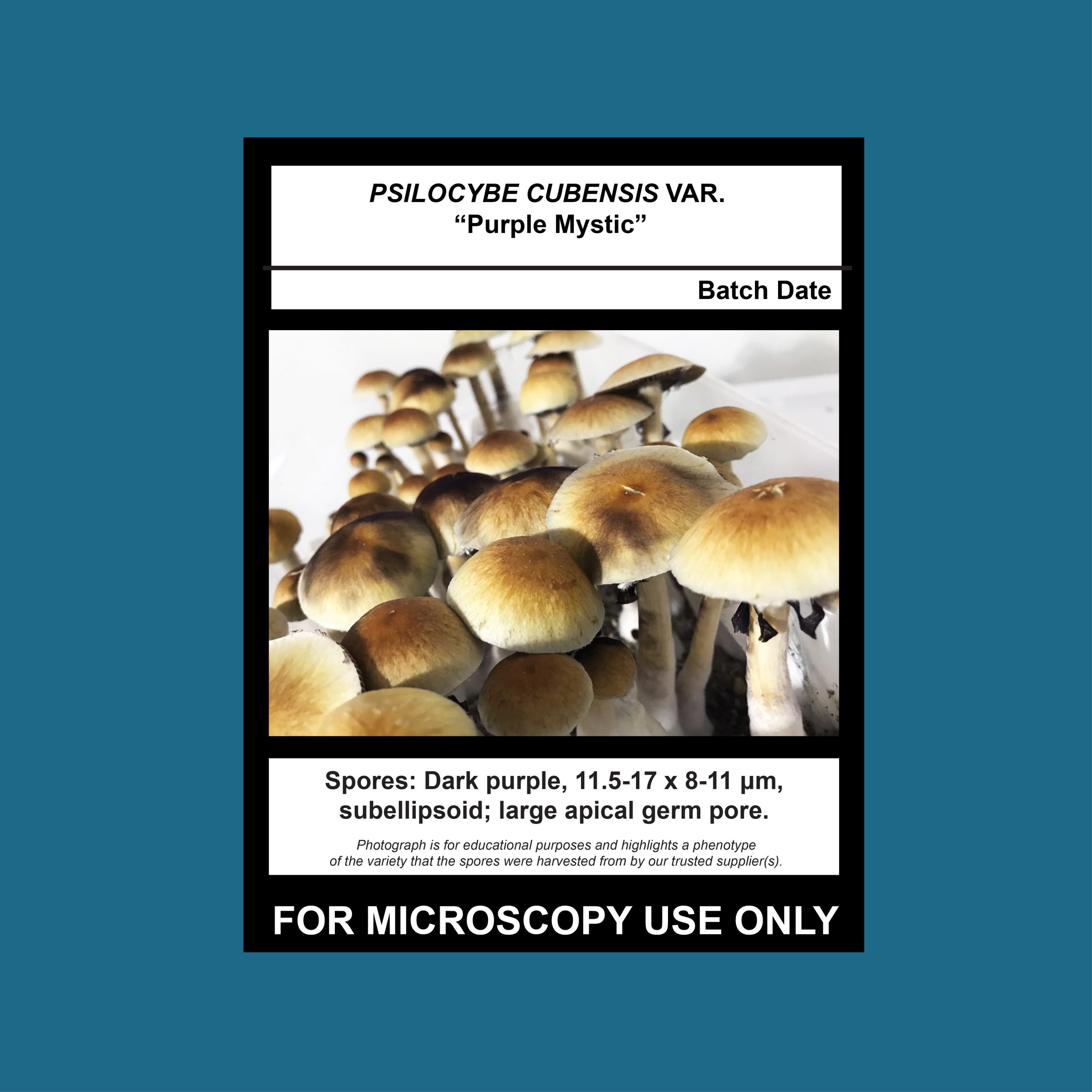 Orissa India Mushroom Strain Effects - xc6nhpz