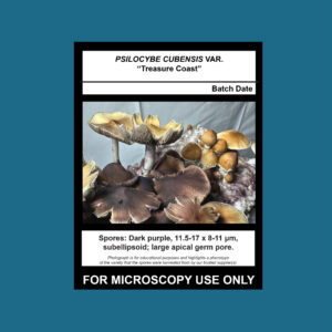 Treasure Coast Spore Swab