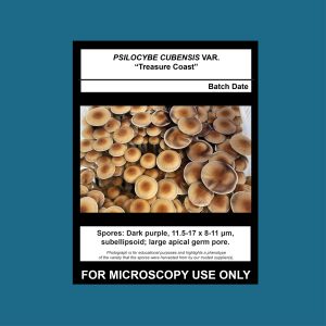 Treasure Coast Spore Swab