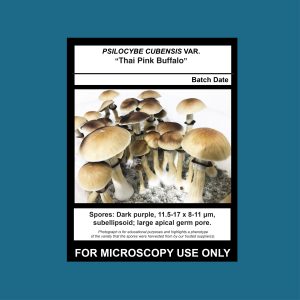 Thai Pink Buffalo Spore Print